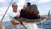 Sailfish Robert.jpg